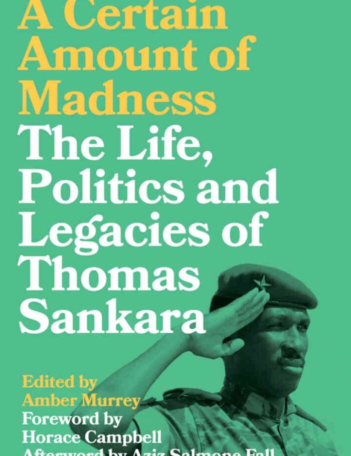 A Certain Amount of Madness: The Life, Politics and Legacies of Thomas Sankara, 1st Edition