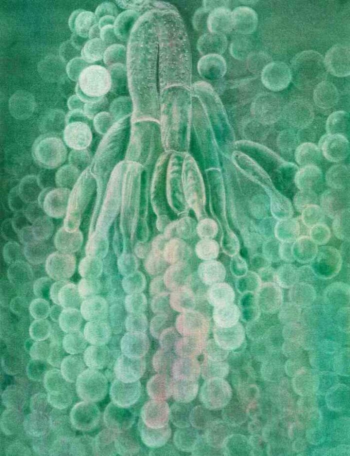 A plus minus Z: Payer Gabriel. Abwesenheit ? Zufall / Absence ? Accidental A plus minus Z: Payer Gabriel. Abwesenheit ? Zufall / Absence ? Accidental