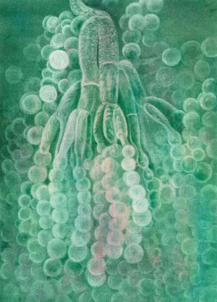 A plus minus Z: Payer Gabriel. Abwesenheit ? Zufall / Absence ? Accidental