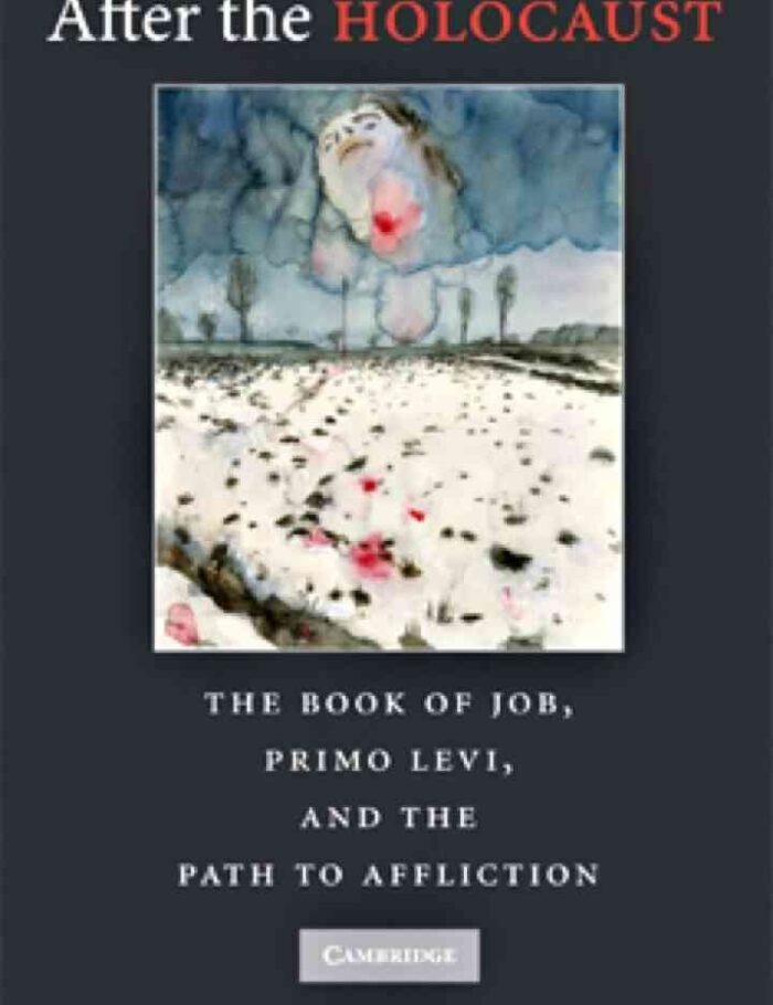 After the Holocaust: The Book of Job, Primo Levi, and the Path to Affliction