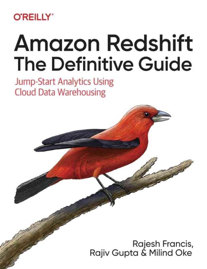 Amazon Redshift: The Definitive Guide: Jump-Start Analytics Using Cloud Data Warehousing, 1st Edition