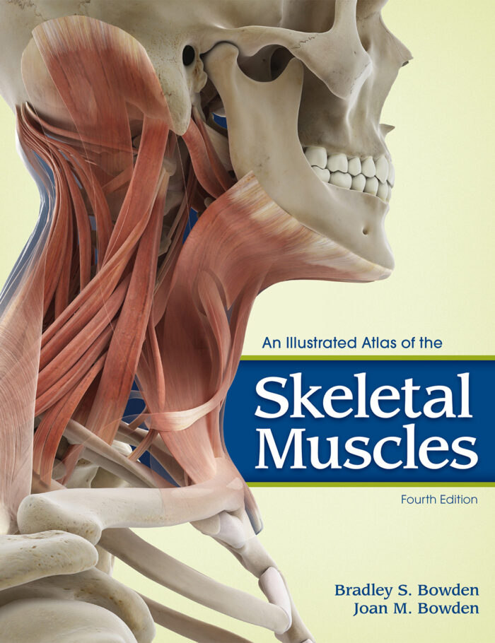 An Illustrated Atlas of the Skeletal Muscles