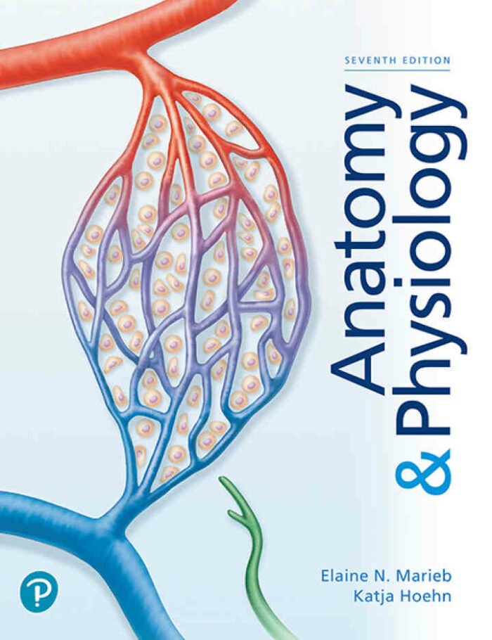 Anatomy & Physiology, 7th Edition