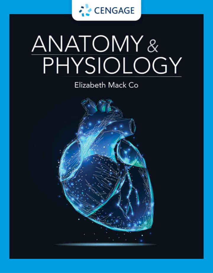 Anatomy & Physiology 1st Edition