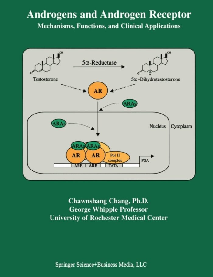 Androgens and Androgen Receptor: Mechanisms Functions and Clini Applications
