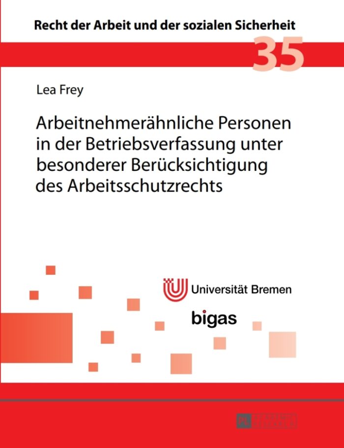 Arbeitnehmeraehnliche Personen in der Betriebsverfassung unter besonderer Beruecksichtigung des Arbeitsschutzrechts