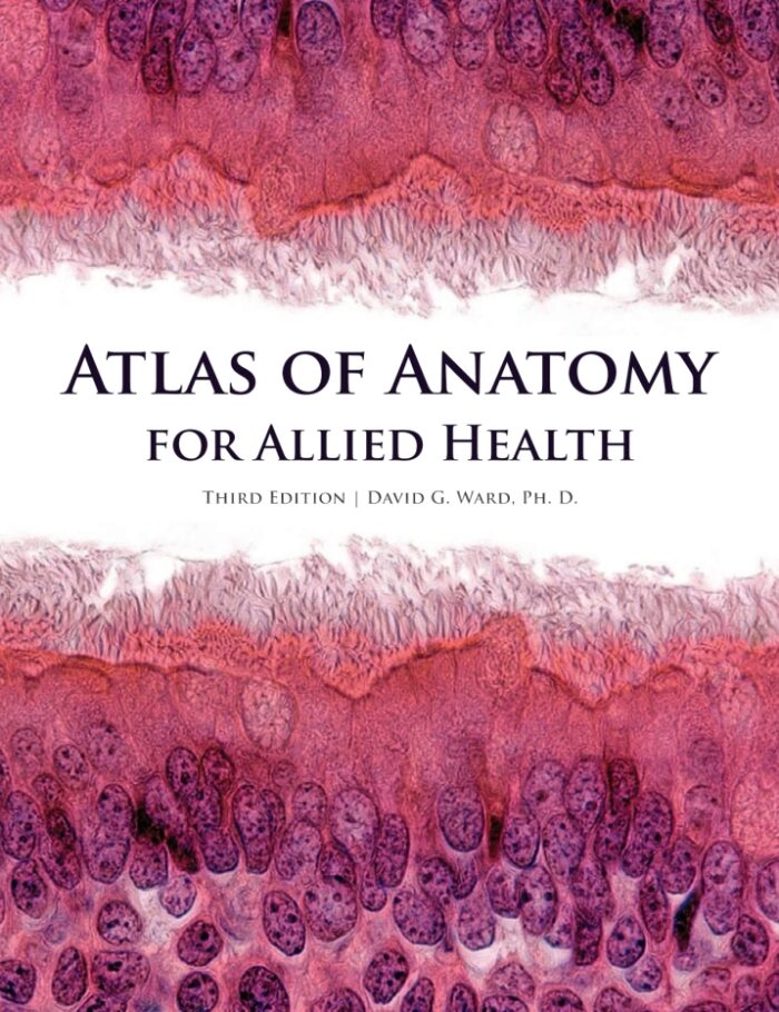 Atlas of Anatomy for Allied Health