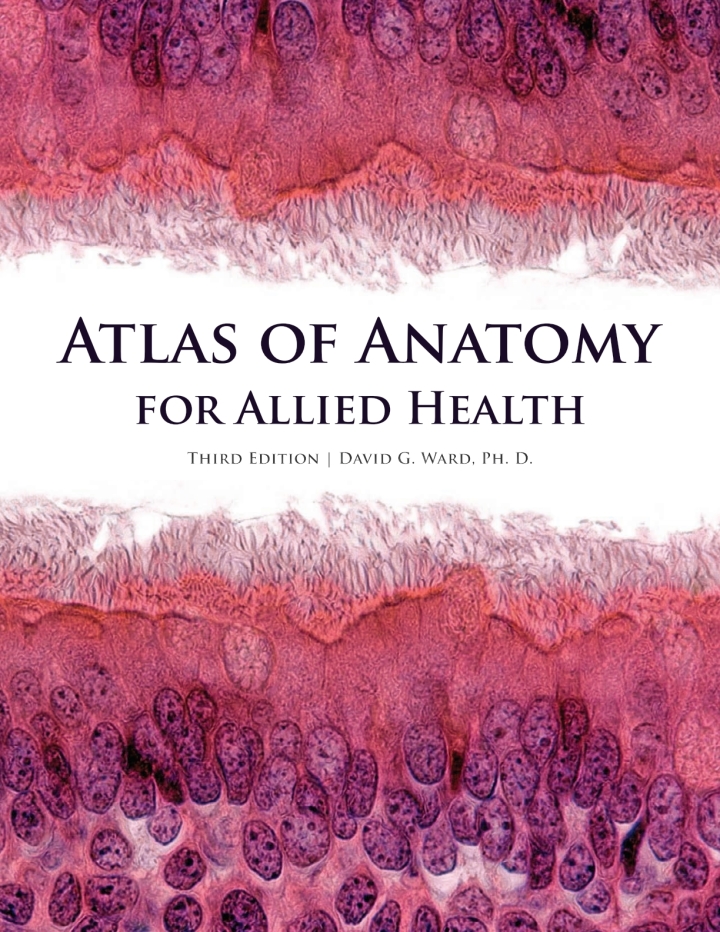 Atlas of Anatomy for Allied Health
