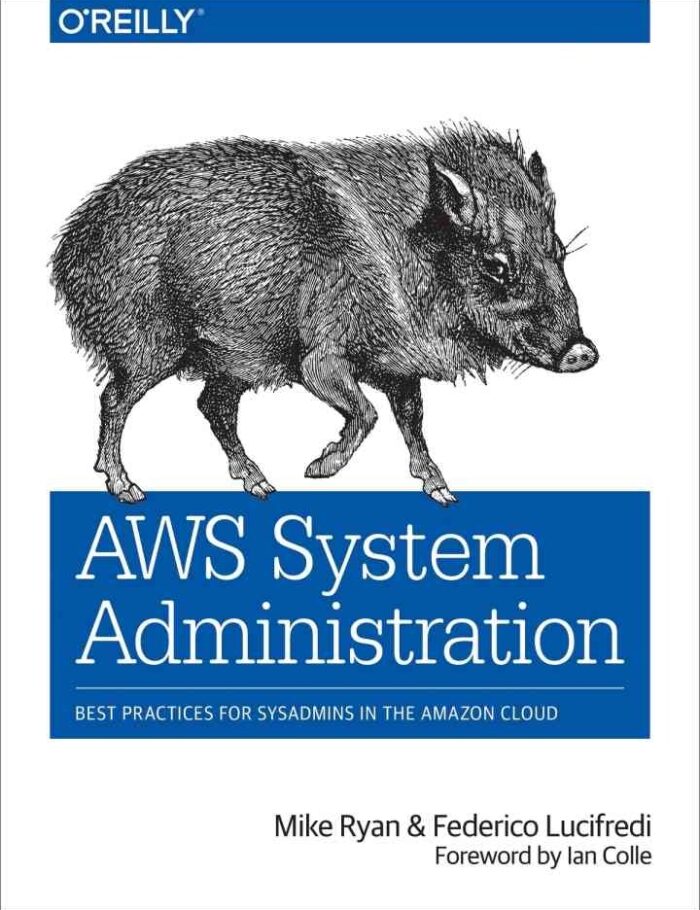 AWS System Administration: Best Practices for Sysadmins in the Amazon Cloud, 1st Edition