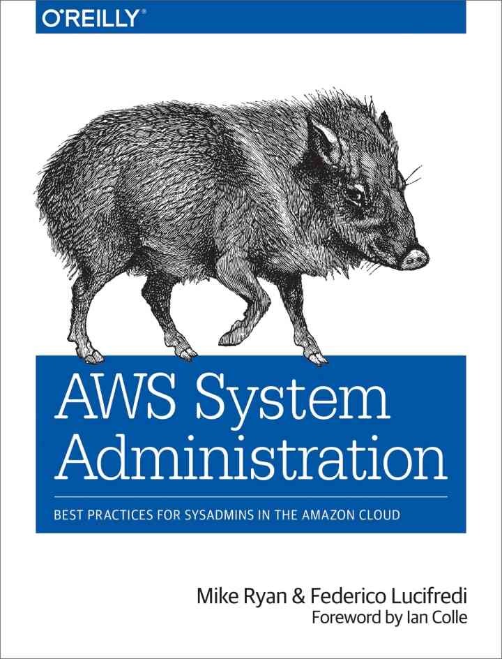 AWS System Administration: Best Practices for Sysadmins in the Amazon Cloud, 1st Edition