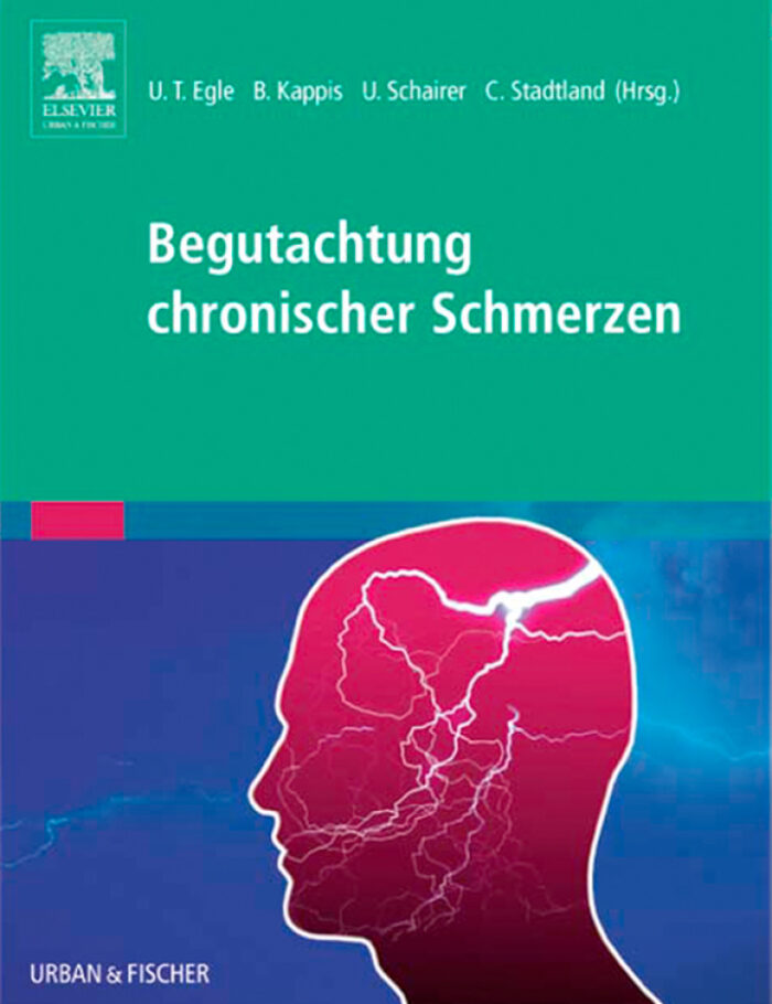 Begutachtung chronischer Schmerzen: Psychosomatische und psychiatrische Grundlagen ï¿½ Fallbeispiele - Anleitung