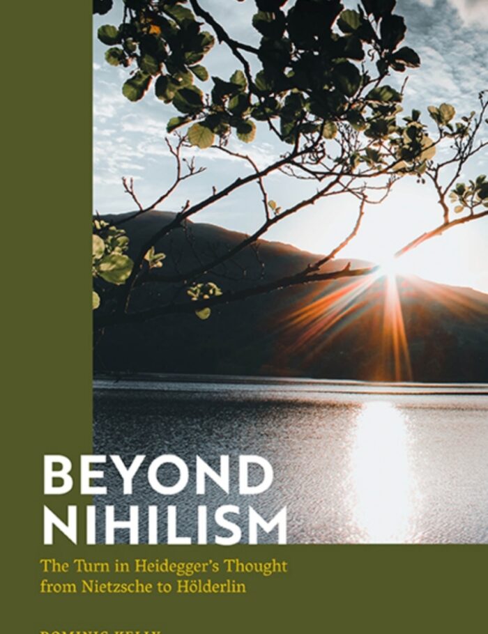 Beyond Nihilism: The Turn in Heideggerï¿½s Thought from Nietzsche to Hï¿½lderlin