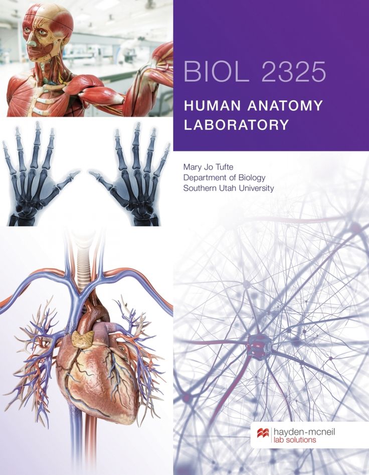 BIOL 2325: Human Anatomy Laboratory - Southern Utah University