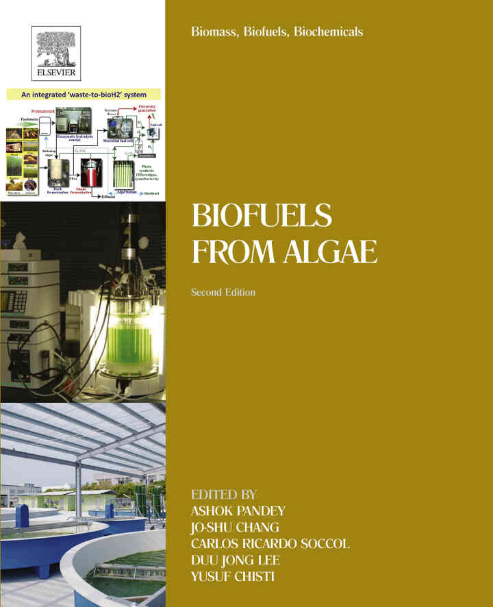 Biomass, Biofuels, Biochemicals: Biofuels from Algae