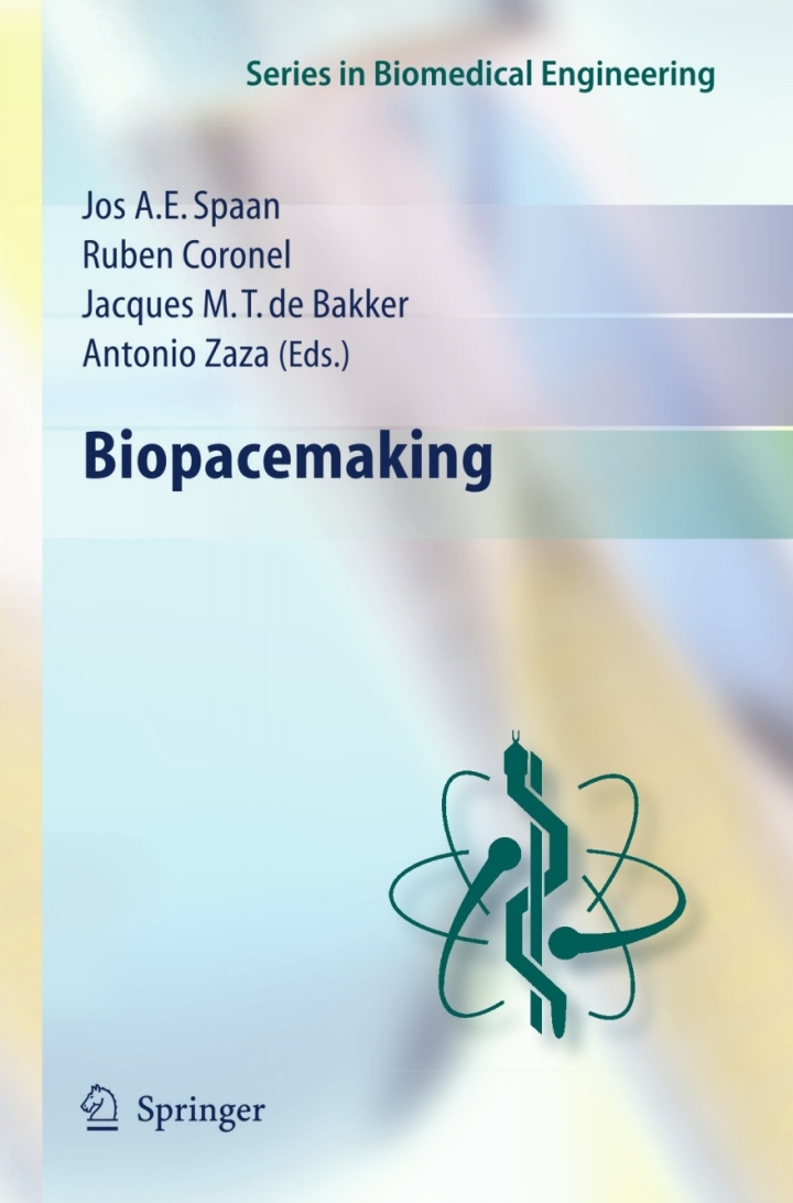 Biopacemaking