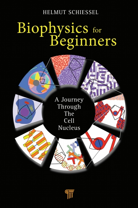 Biophysics for Beginners: A Journey through the Cell Nucleus