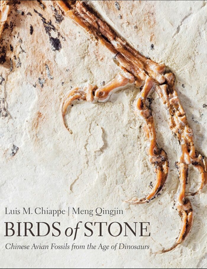 Birds of Stone: Chinese Avian Fossils from the Age of Dinosaurs