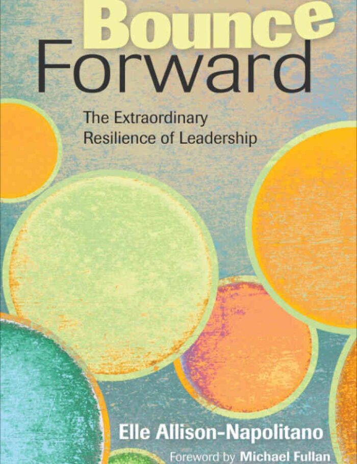 Bounce Forward: The Extraordinary Resilience of Leadership, 1st Edition