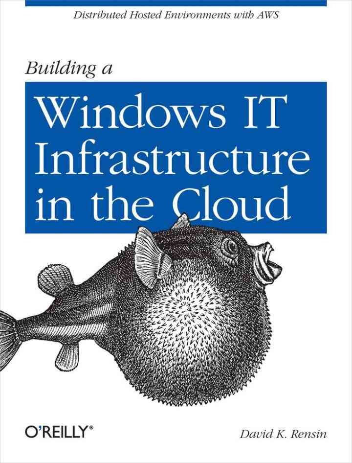 Building a Windows IT Infrastructure in the Cloud: Distributed Hosted Environments with AWS, 1st Edition