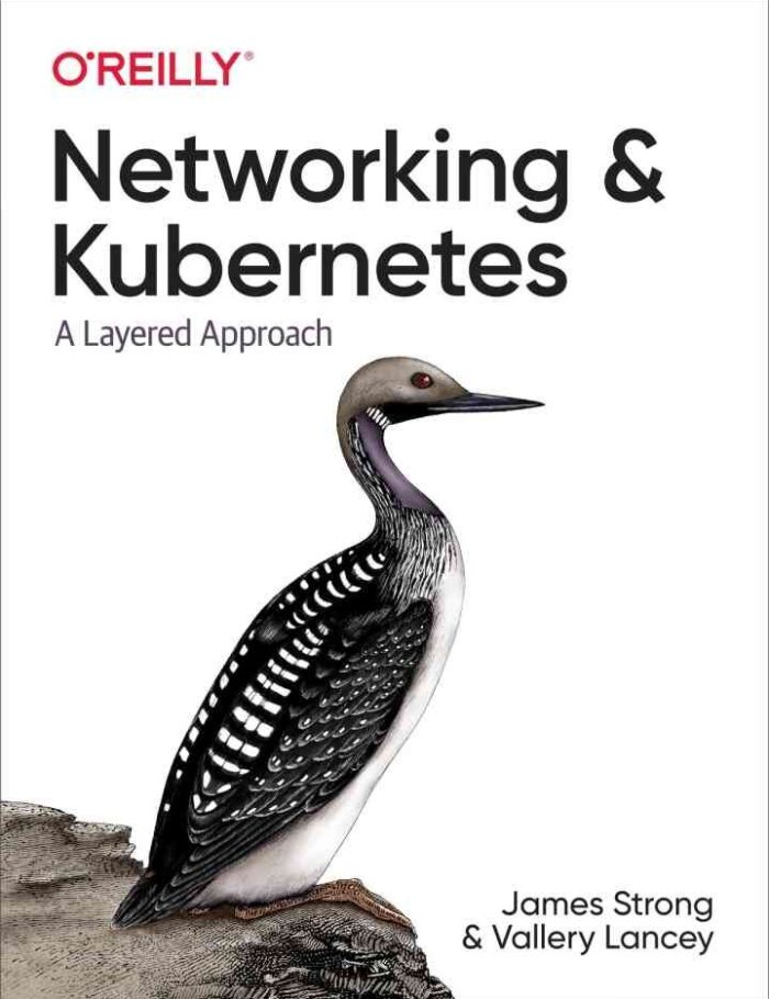 Networking and Kubernetes: A Layered Approach, 1st Edition
