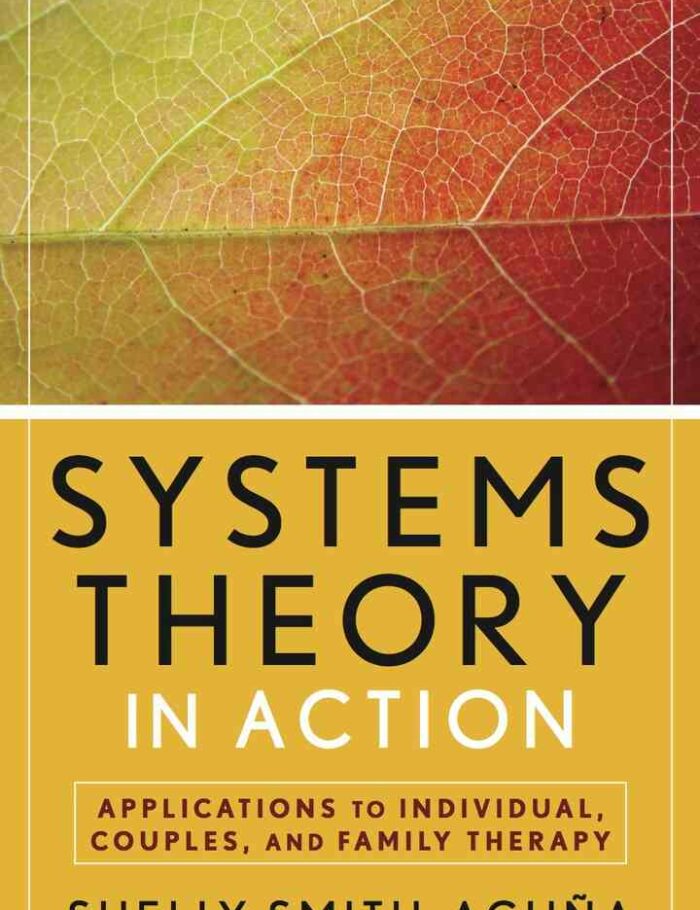 Systems Theory in Action: Applications to Individual, Couple, and Family Therapy, 1st Edition