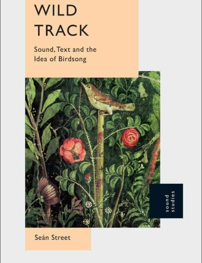 Wild Track: Sound, Text and the Idea of Birdsong