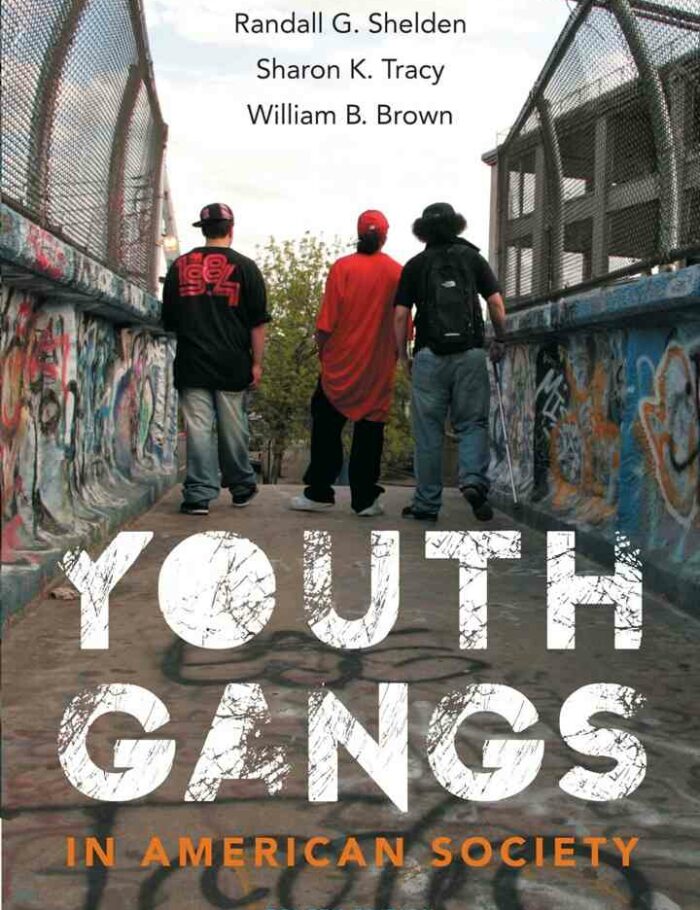 Youth Gangs in American Society 4th Edition Youth Gangs in American Society 4th Edition
